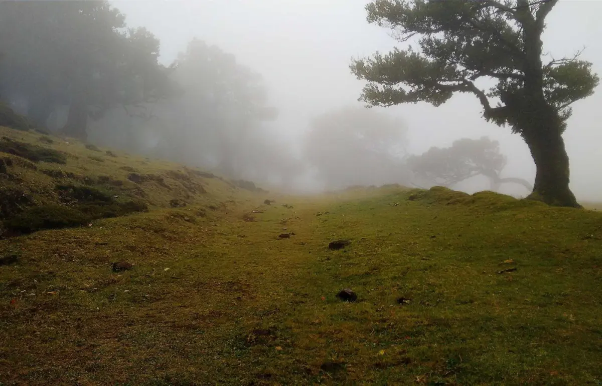 Chão de Casa — imagem 1