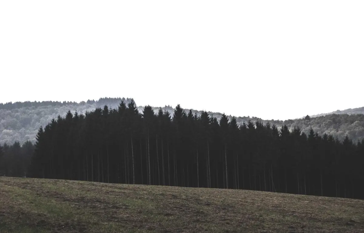 Ateliê Bruta — imagem 2
